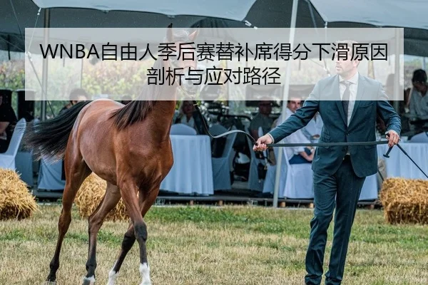 WNBA自由人季后赛替补席得分下滑原因剖析与应对路径